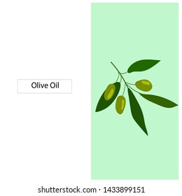 
Olives arrangements with olive branches and fruits for Italian cuisine design or extra virgin oil food or cosmetic product packaging wrapper. 