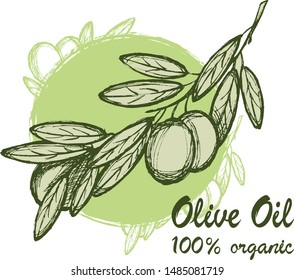 Olives arrangements with olive branches and fruits for Italian cuisine design or extra virgin oil food or cosmetic product packaging wrapper. Hand drawn. Illustration in vector.

