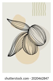 Olives art floral posters in trendy colors. Abstract hand drawing flowers and geometric elements and strokes, leaves and flower. 