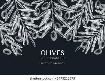 Olives background. Olive tree branches sketches on chalkboard. Mediterranean food menu design. Hand-drawn vector illustration. NOT AI generated.