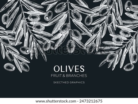 Olives background. Olive tree branches sketches on chalkboard. Mediterranean food menu design. Hand-drawn vector illustration. NOT AI generated.