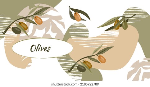 Olives banner backdrop and decorative background with olive plant and place for text. Layout or banner design for olive oil and natural cosmetics, health care products, flat vector illustration.