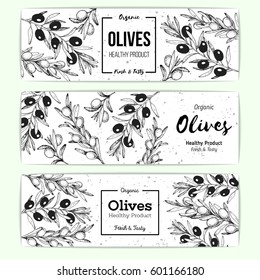 Olives banner set, hand drawn vector illustration. Healthy and organic food design template. Vintage style image. Engraved illustration