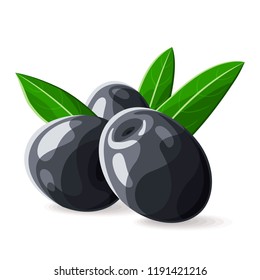 Olives black leaves on white. Vector illustration. No gradients