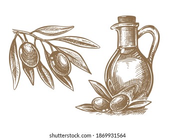 olives branch and a bottle of olive oil sketch 