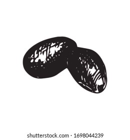 Olives branch and fruits for Italian cuisine design or extra virgin oil food or cosmetic product packaging wrapper. Hand drawn Illustration in vector.