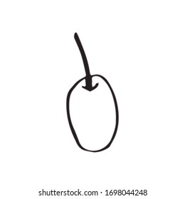 Olives branch and fruits for Italian cuisine design or extra virgin oil food or cosmetic product packaging wrapper. Hand drawn Illustration in vector.