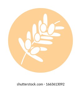 olives branch icon over white background, block style, vector illustration