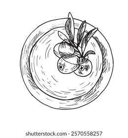 Olives Branch in Olive Oil Bowl. Top view. Hand drawn vector illustration in outline style. Sketch for menu, product package, kitchen and food design