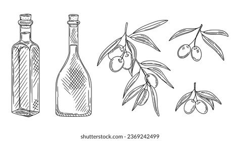 Olives, branch, olive oil, Olive branches, bottle sketches set.