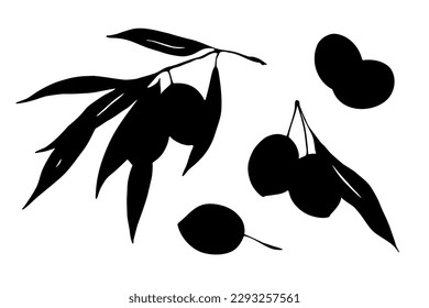 Olives branch twigs with leaves silhouette set isolated on white background. Black and white food design elements vector illustration.