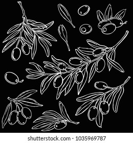 Olives branch, vegetable, vector