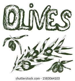 Olives with branches, collection of sketch elements. Monochrome freehand drawing on a white isolated background. Suitable for background design, packaging, cosmetics, decoupage. Vector illustration