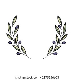 Ramas OLives para diseño , hojas dibujadas a mano para tarjeta o logotipo 