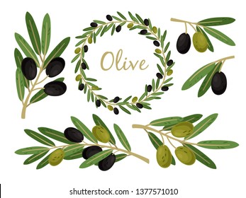 Olives branches   olive crown  Greek olives branch   wreath set  summer oil food tree twigs   leaves vector illustration