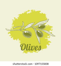 Olives branches on green spot background, hand drawn vector illustration.