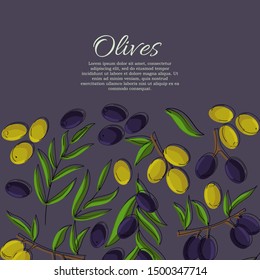 Olives card concept. Olive oil illustration for design and web,