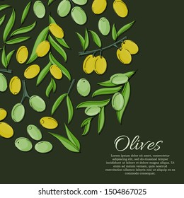 Olives card concept. Olive oil illustration for design and web,
