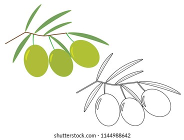 Olives, coloring page. Vector illustration.