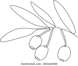 Olives in continuous line art drawing style. Minimalist black linear sketch on white background. Vector illustration