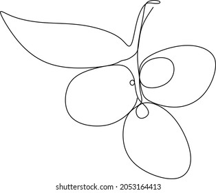 Aceitunas con estilo de dibujo de línea continua. Esbozo lineal negro minimalista sobre fondo blanco. Ilustración del vector