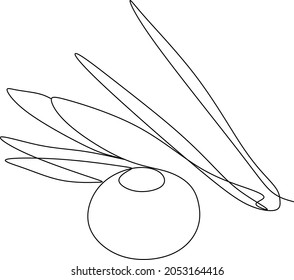 Olives in continuous line art drawing style. Minimalist black linear sketch on white background. Vector illustration