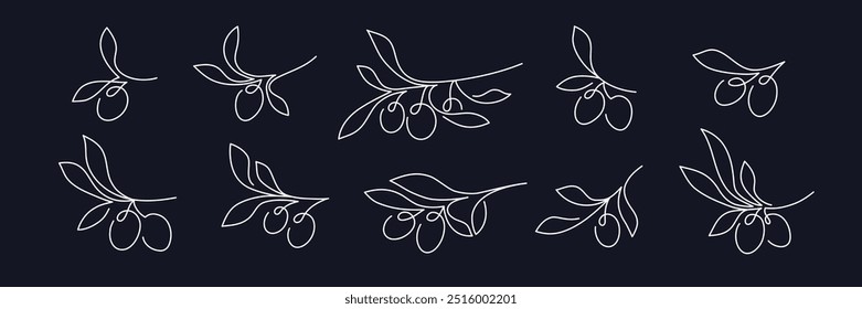 Olives in continuous line collection. Vector art sketch style. Minimalist sign isolated. Graphic tree, branch. Mediterranean food print, aroma fresh oil