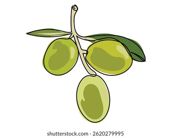 Olives are in a continuous line and drawn on a white background.
