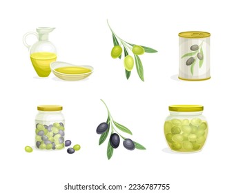 Olives Cultivar in Can and Jar with Small Black and Green Fruit Branch and Oil in Jug Vector Set