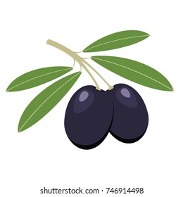 Olives. Dark olives with green leaves. Vector illustration.