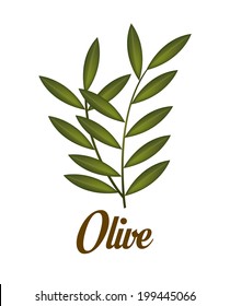 Olives design over white background, vector illustration