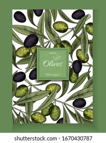 Olives in engraving vintage style, vector isolated illustration in sketch style. Template for banner or label