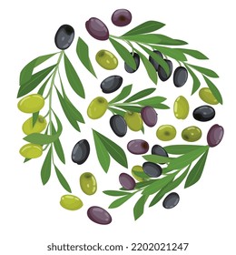 Oliven-flache runde Zusammensetzung mit grünen und schwarzen Oliven auf Ästen und separater Vektorgrafik