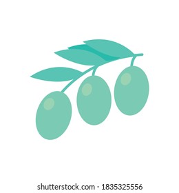 olives flat style icon design, healthy organic food theme Vector illustration