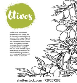 Olives. Flyer template with border from olive branch. Design element for poster, flyer, banner. Vector illustration