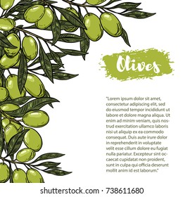 Olives. Flyer template with border from olive branch. Design element for poster, flyer, banner. Vector illustration