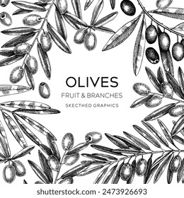 Olives frame design. Olive tree branches sketches. Mediterranean food menu template. Hand-drawn vector illustration. NOT AI generated.