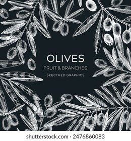 Olives frame design. Olive tree branches sketches. Mediterranean food menu template on chalkboard. Hand-drawn vector illustration. NOT AI generated.