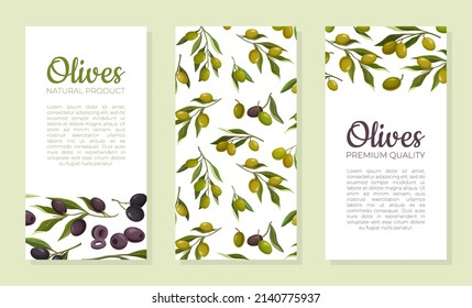Olives fresh organic natural product brochure, promo advertising banner with place for text