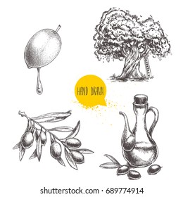 Olives fruit, branch, tree and olive oil bottle sketches set. Hand drawn vector illustrations isolated on white background. 