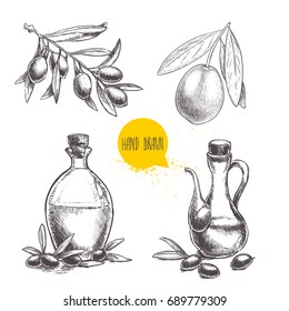 Olives fruit, branch, tree and olive oil bottle sketches set. Hand drawn vector illustrations isolated on white background. 