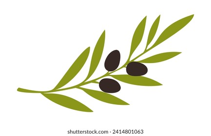 Olive Frucht dunkel auf Ast , Symbol, Logo einzeln auf weißem Hintergrund. Vektorgrafik