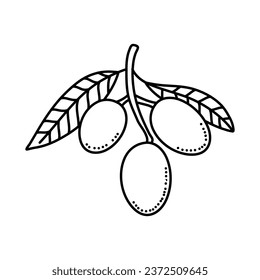 Diseño de ícono de garabatos de frutas de oliva aislado en fondo blanco