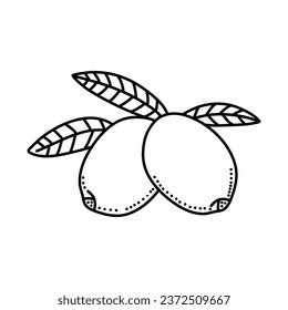 Olives fruit doodle icon design isolated on white background