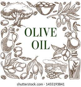 Olives fruits branch and tree vector olive oil bottle sketches frame bowl and jug with cork plantation, or field and greenery farm food growing and cultivation cosmetics ingredients framework