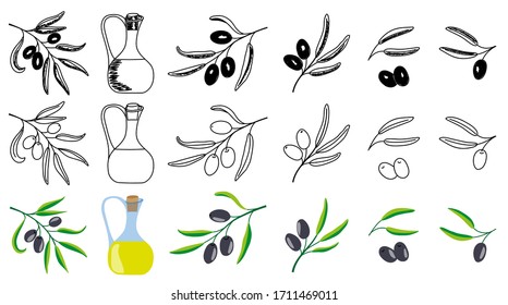 Olives, fruits and leaves. Hand drawn decorative set. Botanical illustration for design design of mediterranean cuisine and cosmetics. Isolated vector.