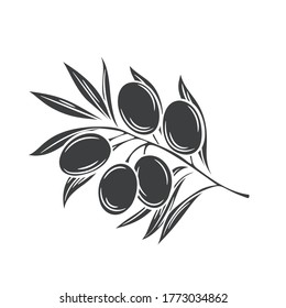 Olives glyph icon badge in retro style for brochures, banner, restaurant menu and market. Vector illustration.