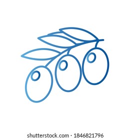 olives gradient style icon design, healthy organic food theme Vector illustration