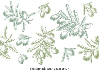 Olives hand drawn isolated.