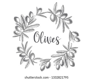 Olives hand drawn isolated.